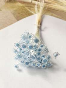 30/60/100/200枝星形干花，迷你雏菊干花，干花插花，DIY花卉材料，家居装饰