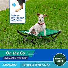 Coolaroo On-The-Go Elevated Dog Bed - Foldable Pop-Up Travel Dog Bed With Breathable, Moisture-Resistant Fabric, Carry Bag Included, Lightweight & Portable, Emerald Green, Standard - Red - View 4