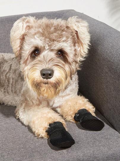 Summer Dog Shoes, Pet Casual Shoes With Mesh Design, Breathable & Comfortable Soft Bottom Indoor Shoes For Teddy Bear Poodle