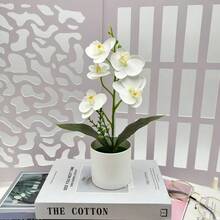 圣诞节、万圣节、情人节、节庆派对生日装饰。1件五盆蝴蝶兰盆栽仿真花摆件蝴蝶兰盆景办公室装饰仿真盆栽户外花园庭院绿植摆件 - 白色 - 查看 6