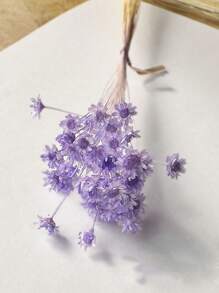 30/60/100/200枝星形干花，迷你雏菊干花，干花插花，DIY花卉材料，家居装饰