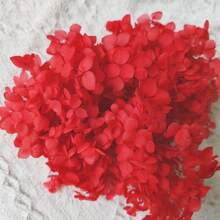 1 Box Natural Dried Flowers, Hydrangea Preserved Dried Flowers, Everlasting Flowers DIY Craft Decorative Material Pack, Baby's Breath Dried Flower Material Pack, High-Quality Plant Materials For DIY Crafts, Decorations, Non-Electrical, Without Feathers