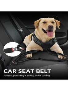 1 件，狗战术牵引绳，高强度牵引绳，4-6 英尺减震弹力牵引绳，配有 2 个软垫手柄，宠物腰带，适合中型到大型或超大型犬，适合日常遛狗，狗牵引绳，狗用具，黑色狗牵引绳。 - 彩色 - 查看 4