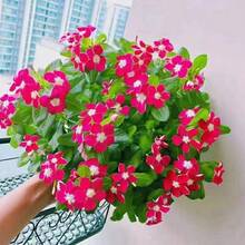 348pcs Thyme Seed Double-Petaled Flowers Can Be Planted All Year Round, Suitable For Indoor Garden Or Balcony Planting Potted Flowers, Daily Spring Flower Seedlings - 348 - View 1