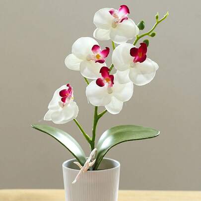 Set de 5 plantas de orquídea Phalaenopsis artificiales en maceta, decoración floral para Navidad, Halloween, Día de San Valentín, fiestas, cumpleaños. Arreglo de flores falsas, bonsái de orquídea, decoración de oficina, plantas en maceta falsas, adornos de jardín exterior.