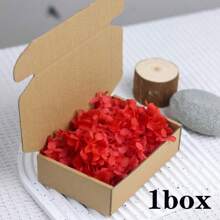 1 Box Natural Dried Flowers, Hydrangea Preserved Dried Flowers, Everlasting Flowers DIY Craft Decorative Material Pack, Baby's Breath Dried Flower Material Pack, High-Quality Plant Materials For DIY Crafts, Decorations, Non-Electrical, Without Feathers