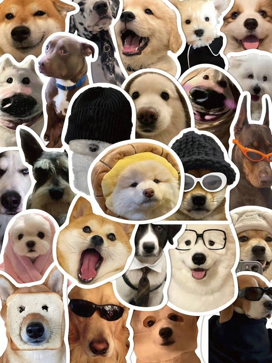 50 张搞笑小狗 MEME 贴纸合集，可用于剪贴簿、行李箱、笔记本电脑装饰，可作为送给好朋友、学校用品、返校礼物 - 彩色 - 查看 1