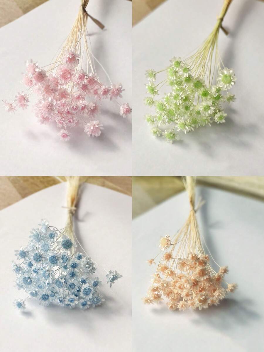 30/60/100/200枝星形干花，迷你雏菊干花，干花插花，DIY花卉材料，家居装饰