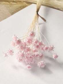 30/60/100/200枝星形干花，迷你雏菊干花，干花插花，DIY花卉材料，家居装饰