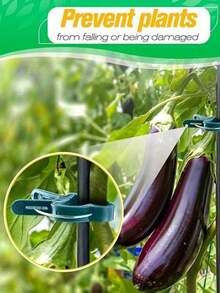 50pcs Reusable Green Plant Support Clips - Adjustable Garden & Greenhouse Brackets For Vines, Flowers, Seedlings, And Tomatoes - Durable Green Plastic With Metal Clasps For Secure Plant Growth, Garden Support Accessories | Secure Gardening Clips | Reusable Garden Clips