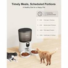 Automatic Cat Feeders For 2Cats 6L 25cup Automatic Cat Food Dispenser With 2 Stainless Pet Bowls 10s Meal Call Timer Setting 20 Portions 4Meals Per Day Timed Pet Feeder For Cats Dog Indoor Dry Food - 如圖 - 查看 2