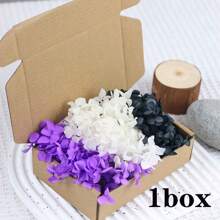 1 Box Natural Dried Flowers, Hydrangea Preserved Dried Flowers, Everlasting Flowers DIY Craft Decorative Material Pack, Baby's Breath Dried Flower Material Pack, High-Quality Plant Materials For DIY Crafts, Decorations, Non-Electrical, Without Feathers