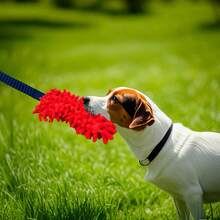 1 Piece Of Toy Suitable For Dogs That Love To Chew, Soft Plush Pulling Rope Tug-Of-War Pet Toy With A Handle - An Interactive Chewing Toy For Fun Play, Teeth Cleaning, And Training Exercises.