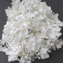 1 Box Natural Dried Flowers, Hydrangea Preserved Dried Flowers, Everlasting Flowers DIY Craft Decorative Material Pack, Baby's Breath Dried Flower Material Pack, High-Quality Plant Materials For DIY Crafts, Decorations, Non-Electrical, Without Feathers