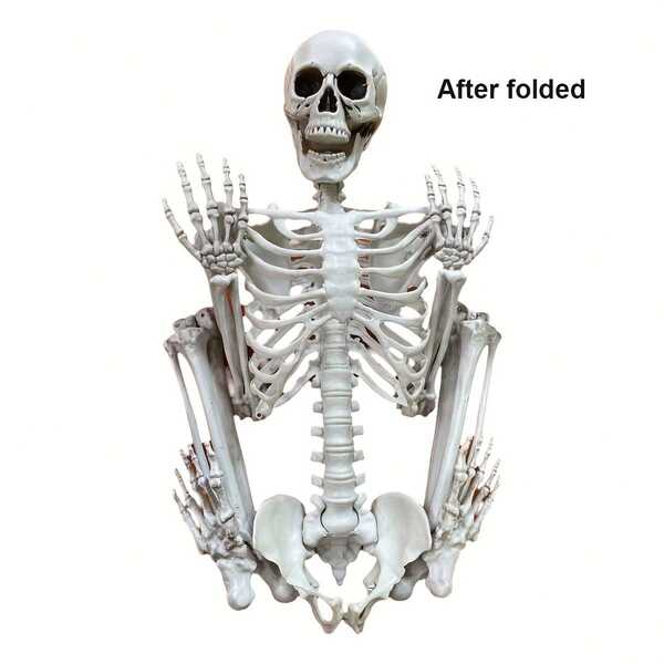 36 Inch Realistic Halloween Skeleton With Fully Posable Joints, Perfect For Indoor, Outdoor, Garden, Home Party, Cemetery And Haunted House Prop Decoration