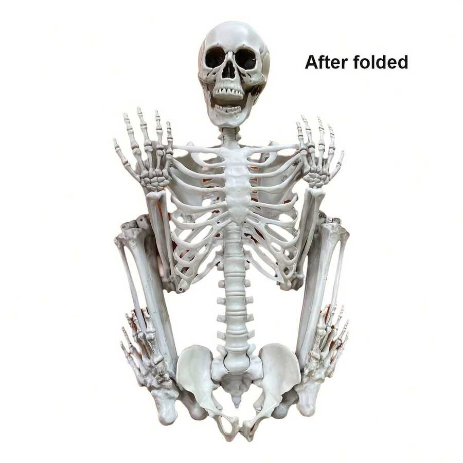 36 Inch Realistic Halloween Skeleton With Fully Posable Joints, Perfect For Indoor, Outdoor, Garden, Home Party, Cemetery And Haunted House Prop Decoration - Multicolor - View 1