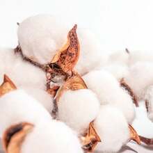 Luxury Soft Absorbent Towel - Cosmic Themed Stripe Design,Polyester Blend, Great For Adults And Friends, Ldeal Christmas And Halloween Gift, Home Essentials | Modern Towel Design | Polyester Blend Towel, Face Towel, New Soft Cotton Face Towel, Absorbent, Quick-Drying Towel In The Bathroom, Foldable For Storage, Suitable For 10 Scenarios, Universal For Home, Kitchen, Bathroom, Bath Towel, Wiping, Washing Face, Car Cleaning, Etc., Factory , Affordable, One Can Be Used To Wipe Shoes, One To Wipe Tables, One To Wipe Furniture, One For Bathroom Walls, One For Ordinary Bathing, And Going Out For Swimming Outdoors - 藍色1 - 查看 5