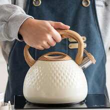 Stainless Steel Whistling Tea Kettle With Lid 3L - Beige - View 6