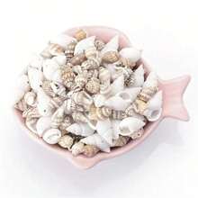 30g/Pacote Conchas Perfuradas de Tamanhos Variados, Materiais DIY de Contas, Acessórios Artesanais