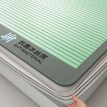 Cooling Mattress Pads - Antibacterial Ice Cooling Mat-herbal Tea Powder Bed Mat - View 10