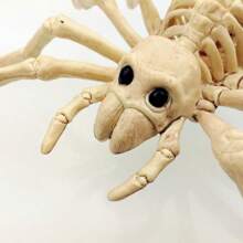 1pc Realistic Spider Skeleton Decor - Halloween Skeleton Model - Scary Animal Skeleton Decoration