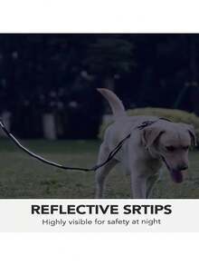 1 件，狗战术牵引绳，高强度牵引绳，4-6 英尺减震弹力牵引绳，配有 2 个软垫手柄，宠物腰带，适合中型到大型或超大型犬，适合日常遛狗，狗牵引绳，狗用具，黑色狗牵引绳。 - 彩色 - 查看 8