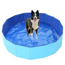 Accessoire de rafraîchissement d'été pour chien ! Piscine pliable, parc aquatique amusant et facile à installer