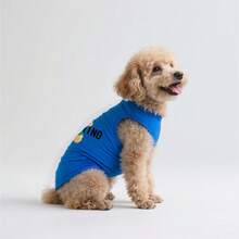 狗狗背心熊图案，防掉毛，可机洗，春夏宠物服装，适合中小型犬和猫，8种颜色可选