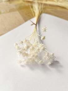 30/60/100/200枝星形干花，迷你雏菊干花，干花插花，DIY花卉材料，家居装饰