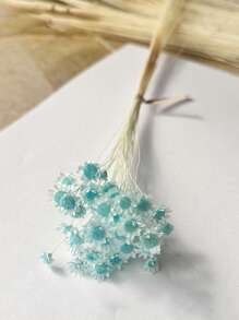 30/60/100/200枝星形干花，迷你雏菊干花，干花插花，DIY花卉材料，家居装饰