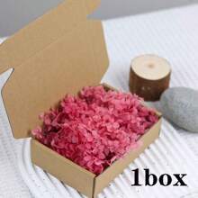 1 Box Natural Dried Flowers, Hydrangea Preserved Dried Flowers, Everlasting Flowers DIY Craft Decorative Material Pack, Baby's Breath Dried Flower Material Pack, High-Quality Plant Materials For DIY Crafts, Decorations, Non-Electrical, Without Feathers