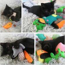 4/8/12Pieces Plush Catnip Toys, Anxiety Relief For Indoor Cats, Teeth Cleaning, Digestion Promotion, Interactive Play Soft Material, Infused With Catnip For Enhanced Attraction, With Kicking And Hitting Action, For Indoor Entertainment And Stimulation Of Cats - Multicolor - View 9