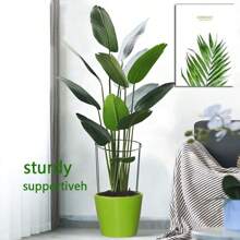 Metal Plant Support Frame, Wrought Iron Flower Stand, Suitable For Indoor And Outdoor Plants, Green Plastic Anti-Corrosion Surface, Freestanding Flower Stand, Suitable For Corners, Courtyards, Living Rooms, Multi-Layers, Green Plant Stand