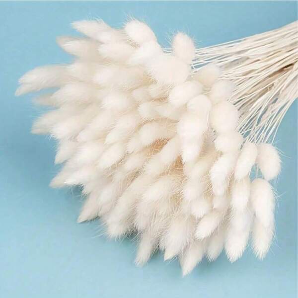 60/120pcs Boho Style Hanging Ornaments Pampas Grass And Rabbit Tail Grass Dried Flower Bouquets For Wedding Home Party Decor DIY Arrangements Harvest Festival Halloween Christmas