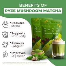 Focus & Glow Matcha – 6 Mushrooms + Organic Ceremonial-Grade Matcha | Energize, Detox & Nourish From Within | 60 Servings