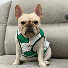 Chaleco para perro Bulldog Francés/Pug/Corgi/Mascotas, delgado para primavera/verano, grueso para otoño/invierno, adecuado para perros - Blanco - Ver 4