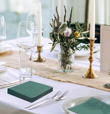 50 Pieces 3-Ply Green Napkins Disposable Folded 5 X 5 Inches Cocktail Napkins Paper Napkins For Dinner Wedding Birthday Party Dessert Napkins - Green - View 6