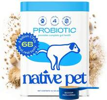 Native Pet Probiotics For Dogs - Dog Probiotics Powder For Digestive Health, Gut Support, &Amp; Immune Boost \U2013 Vet-Formulated Powder For Maximum Potency With Digestive Enzymes &Amp; Prebiotics - 60 Scoops - 240 Probiotic Scoops - View 1