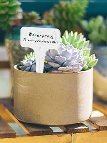 100 件植物标签，防水塑料花园植物标记标签，可重复使用植物标签，适用于户外植物幼苗盆栽植物草本花卉蔬菜（白色）