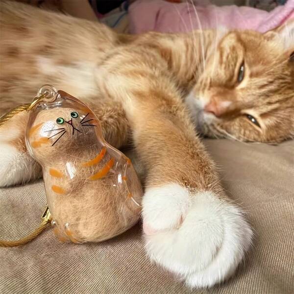 Transparent Cat Hair Collection Capsule, Cat Hair Storage Pendant Blind Box, Pet Hair Collection Creative Keychain Bag Charm