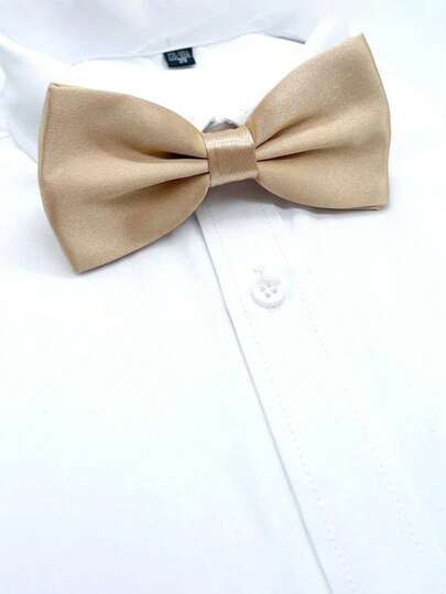 1 条男士香槟色领带，纯色简约领带，适合商务、聚会、正式穿着和日常穿着男士领带