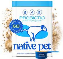 Native Pet Probiotics For Dogs - Dog Probiotics Powder For Digestive Health, Gut Support, &Amp; Immune Boost \U2013 Vet-Formulated Powder For Maximum Potency With Digestive Enzymes &Amp; Prebiotics - 60 Scoops - 30 Probiotic Scoops - View 1