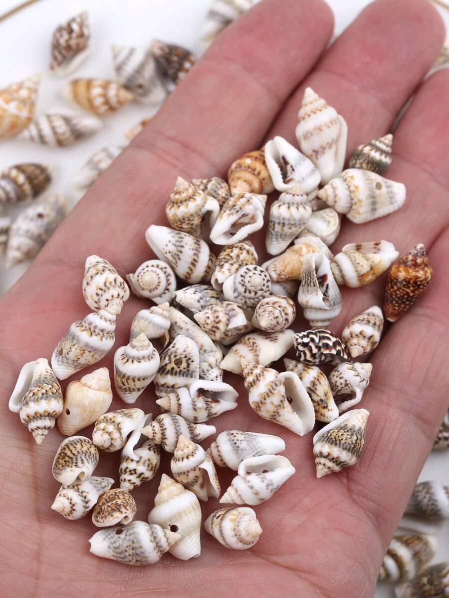 30g/Pack Assorted Sizes Drilled Small Seashell DIY Beading Materials, Shell Crafts Accessories