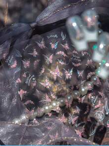 Beautizon Nailartlab 1 件蝴蝶、花朵指甲饰品贴花珍珠首饰 DIY 艺术 Y2K 风格 5D 美甲装饰贴花 - 彩色 - 查看 2