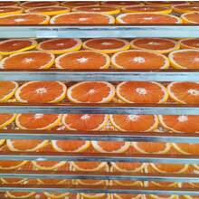 1 Pack Of 5/10/15/20/25/30pcs Dried Grapefruit/Orange/Lemon/Lime Slices, Suitable For DIY Crafts, Artisan Candles, Soap Making, Home Decor, Fragrance, Suitable For All Holidays And Parties