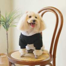 Süß Bär/Panda/Schaf Fleece Sweatshirt, warme Haustierkleidung für Katzen und Hunde, geeignet für Herbst/Winter