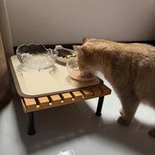 ABS High-Quality 1pc Raised Cat/Small Dog Feeding Station With Stand, Indoor Pet Dining Table With Elevated Food Mat