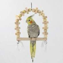 Juguete original de madera maciza en forma de anillo para columpiar pájaros, accesorio de jaula para loros, suministros de juguete para loros
