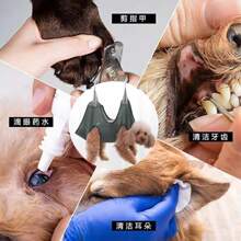 1pc Breathable Mesh Pet Bed, Pet Care Hammock, Pet Bathing Grooming Hammock Suitable For Small Pets And Cats