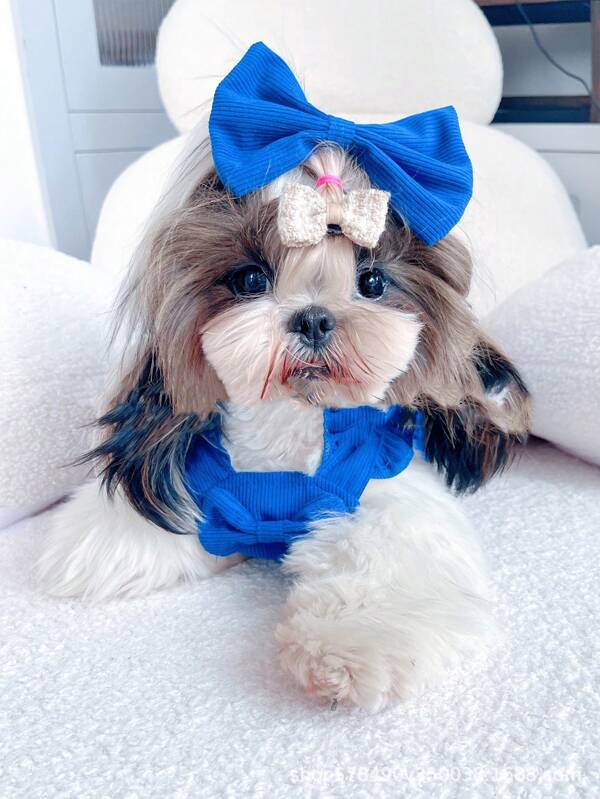 1 pieza Vestido de mascota con moño de pana azul + 1 pieza Pasador de cabello azul, apto para fiestas de mascotas, salidas o en casa (se recomienda consultar la tabla de comparación de tallas y elegir una talla talla grande grande)